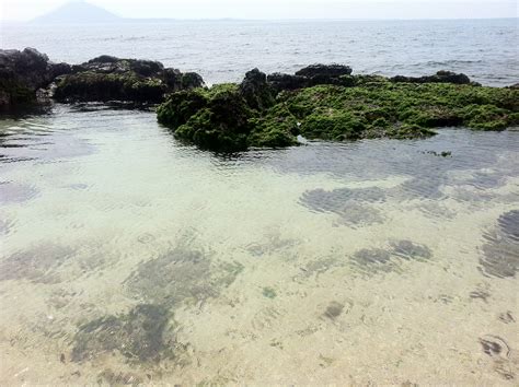 Gambar Pantai Laut Pasir Batu Lautan Gelombang Teluk Kecil Medan Habitat Jeju Pulau
