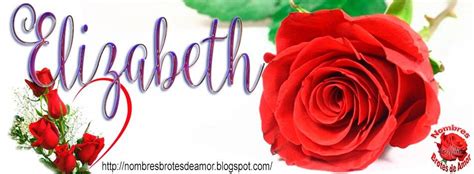 Pin By Elizabeth Morales On Elizabeth My Name Flowers Rose Elizabeth I