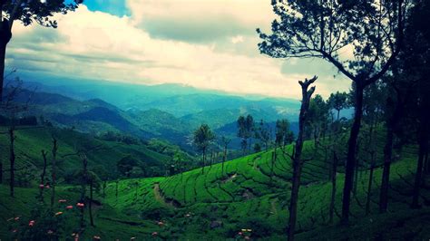 The city has an earthier side too, and residents and tourists let their hair down. Munnar Tourist Places -8 Best Places to Visit in Munnar