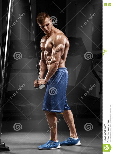 Muscular Man Working Out In Gym Doing Exercises At Triceps Strong Male