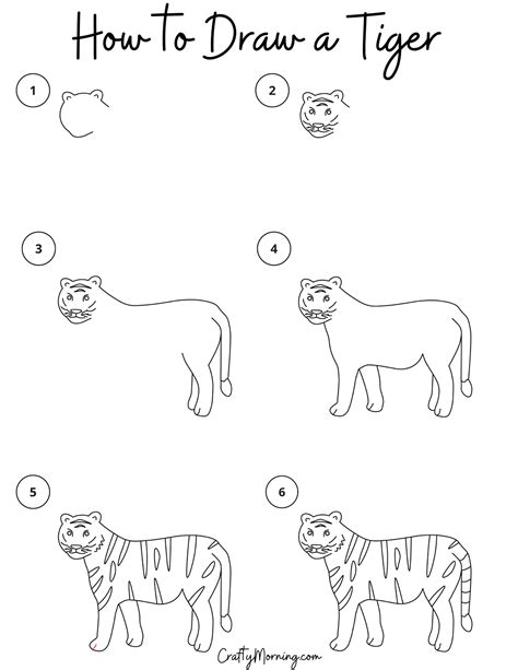 Tiger Drawing How To Draw A Tiger Step By Step Vrogue Co