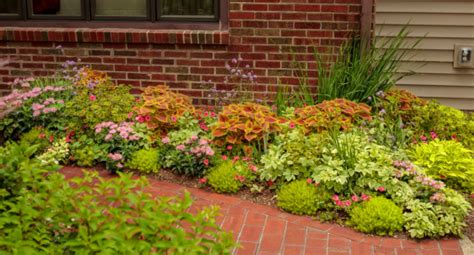 2019 Proven Winners Featured Collection Planting Flowers Landscaping