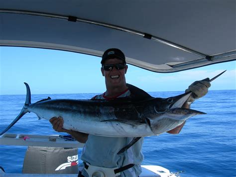 Fishing Marlin Caught And Released