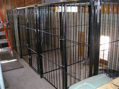 Dog Kennels In Basement Kennel Dog Kennel Dog Room Decor