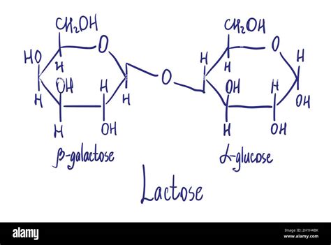 Lactose Chemical Structure Vector Illustration Hand Drawn Stock Vector