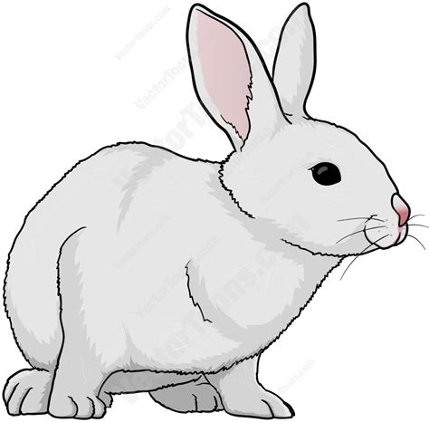White Rabbit Clipart Png Clip Art Library