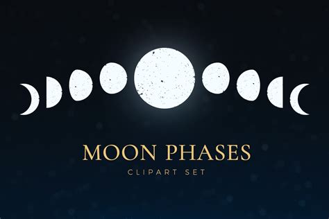 Moon Phases Vector Clipart Set Dreamstale