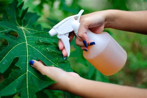 A good spray to the face will disable any attacker, after all. Get Rid of Animal Pests With Hot Pepper Spray | Hard to ...