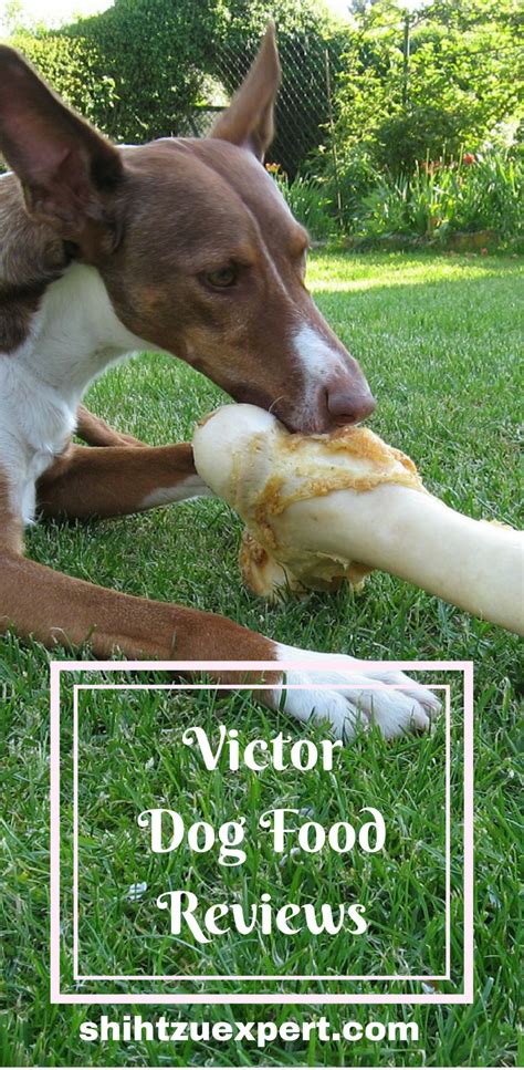 In this article you will find Victor Dog Food Reviews by Experts, Ratings, Recalls ...