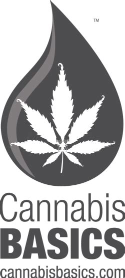 Cannabisbasicslogo Cannabis Basics
