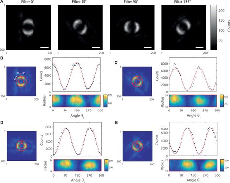 Scientists Capture First Ever Image Of Quantum Entanglement