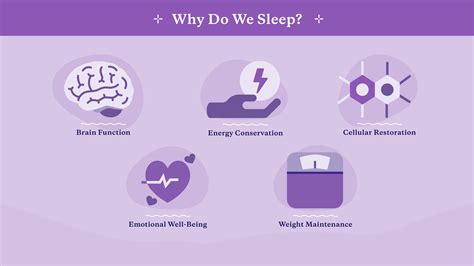 why do we need sleep what happens when we sleep