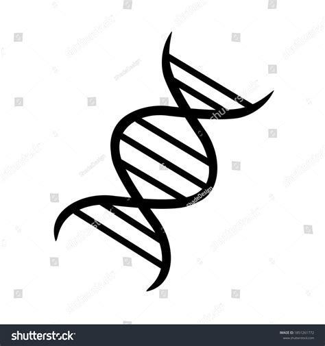 53 Differences Between Dna Rna Images Stock Photos And Vectors