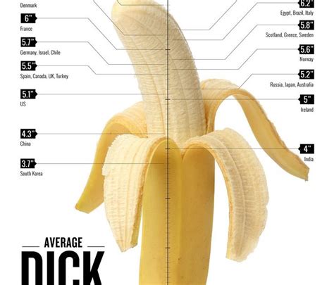 Presenting The Average Penis Size By Country We Have Visualised It In