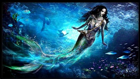 🔥 41 Hd Mermaid Wallpaper Wallpapersafari