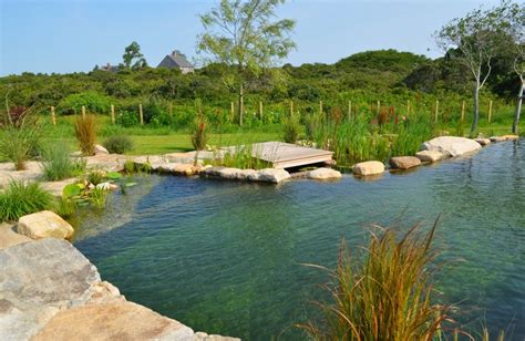 All Pure Swimming Swimming Pools Natural Swimming Ponds Swimming Pond Pool Landscaping