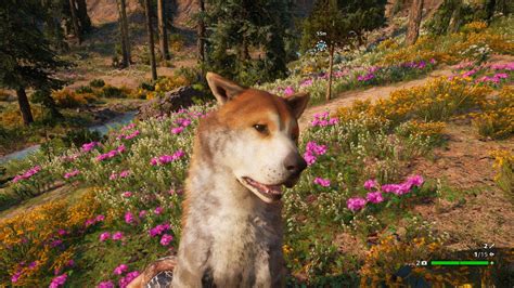 Far Cry New Dawn Review A Surprisingly Satisfying Refresh With Some