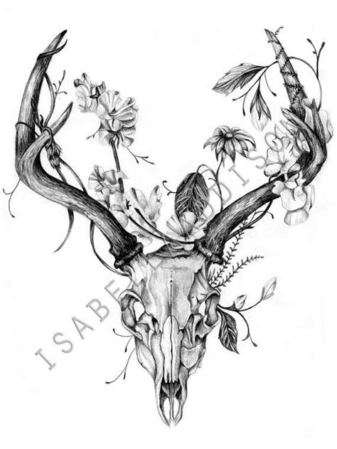 Deer Skull Print Of Original Black And White By Isabellaaddison