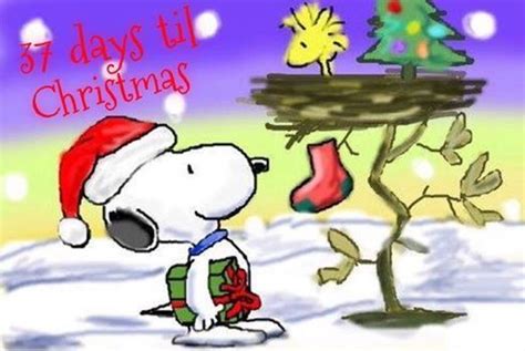 37 Days Till Christmas Quotes Quote Snoopy Christmas Christmas Quotes