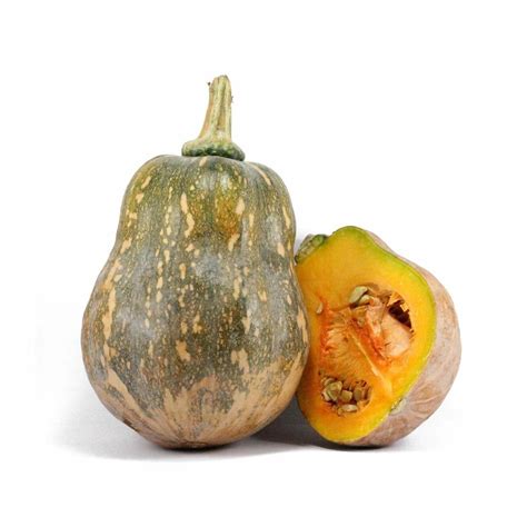 Viêm họng hạt thể hiện ở phía sau thành của họng là chủ yếu, ở đây có nhiều hạt với kích thước lớn, nhỏ khác nhau, có thể nhỏ như đầu đinh ghim nhưng cũng có thể to bằng hạt đậu, hạt ngô và đôi khi chúng nối tiếp với nhau. Bí đỏ hạt đậu lai F1 RADO 35