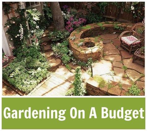 Frugal Gardening Tips For Beginners Frugal Gardening Gardening For