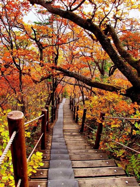 Autumn In South Korea National Parks Scenery Fall Foliage