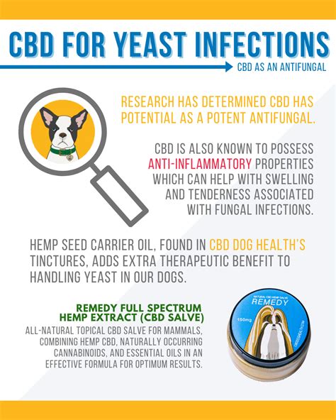 How Do You Treat A Yeast Infection In Dogs