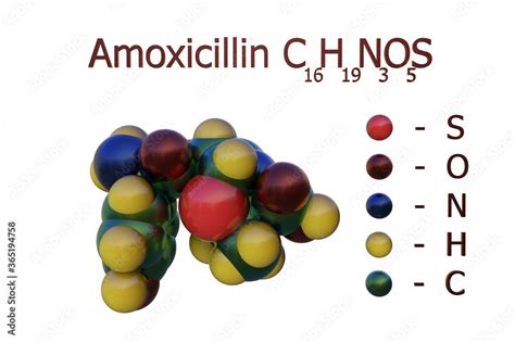 Structural Chemical Formula And Molecular Model Of Amoxicillin An