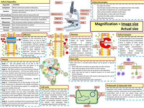Ks4 Aqa Gcse Biology Science Cells Revision Knowledge Organiser By