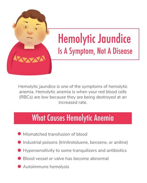 Symptoms Causes And Cure For Hemolytic Jaundice Fatty Liver Disease