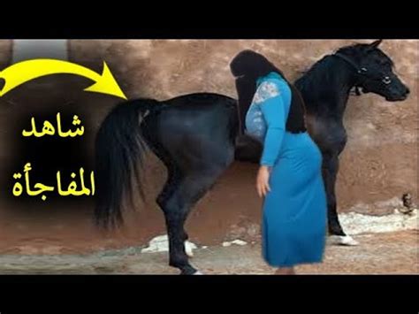 وفي هذا الإطار، نفى مولاي سعيد عفيف، عضو. إمرأة تفعل شئ محرم مع حصان والسبب زوجها ! انظر ماذا فلعت