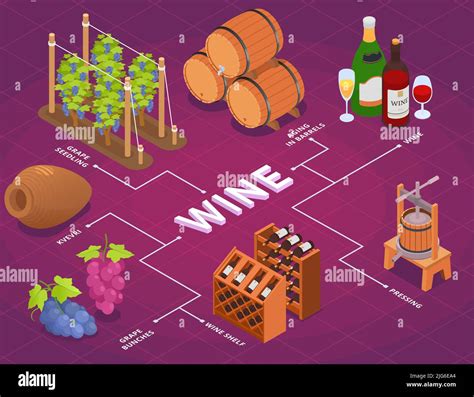 Wine Production Isometric Flowchart With Grape Bunches Seedlings Wooden