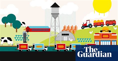 What Is The True Cost Of Eating Meat Meat Industry The Guardian