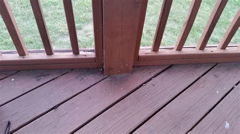 [Help] Replacing deck boards on an existing screened in porch : DIY