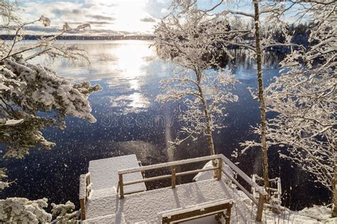 Fallen Snowy Tree And Frozen Lake In Finland Stock Image Image Of