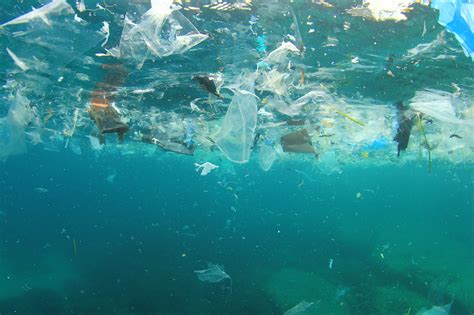 Plastic Pollution In Our Water Advanced Water Solutions