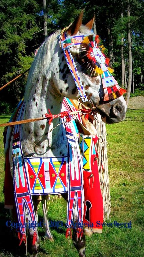 White Wolf Amazing Native American Nez Perce Horse Regalia By