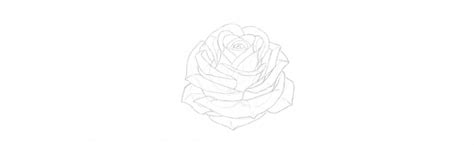 Check spelling or type a new query. How to Draw a Rose