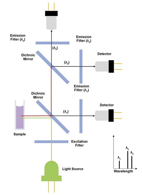 Diode Array Spectrometers Augment Fluorescence Based Research