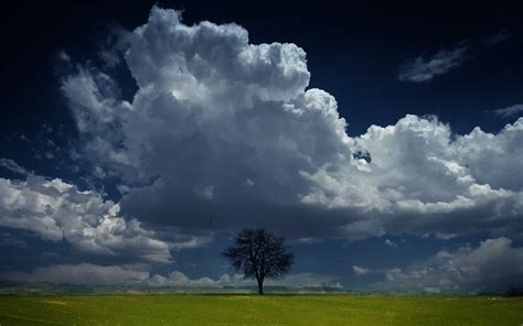 Nature Landscape Trees Sky Clouds