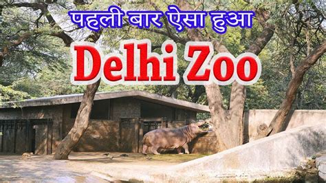 Enjoying Delhi Zoo National Zoological Park Delhi Tour Youtube