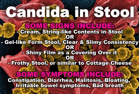 Prevention of food contamination dispose of food that poses a potential threat to human health handle, transport, and store food safely prevention of food contamination dispose of food that. Candida In Stool | Candida Stool | Candida Die Off Stool ...