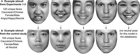 Frontiers Angry Facial Expressions Bias Gender Categorization In