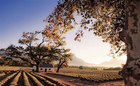 Franschhoek Western Cape South Africa By Nomadic Vision Travel
