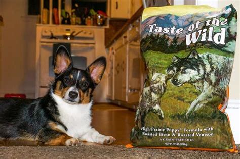 Your puppy craves a taste of the wild. Taste of the Wild High Prairie Puppy Formula Grain-Free ...