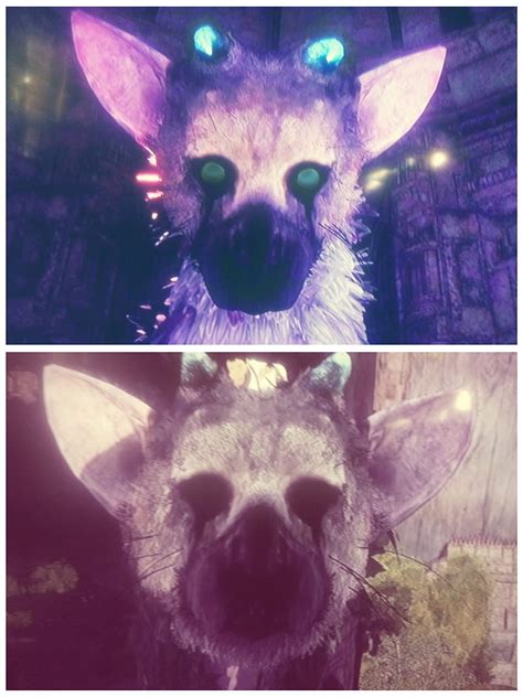 Trico Ico Trico The Last Guardian Hd Mobile Wallpaper Peakpx