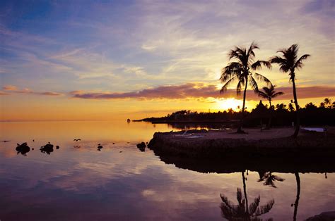 3840x2550 Beach Florida Palmtree Sunset 4k Wallpaper