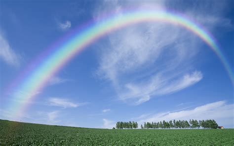 Rainbow Sky Landscapes Wallpaper 1920x1200 48457 Wallpaperup
