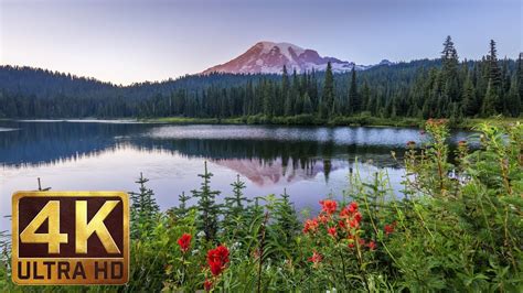 Mount Rainier National Park 4k Nature Documentary Film