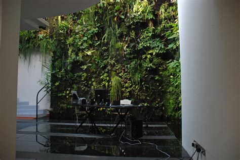 The joy of a vertical garden is that it takes up very little space and can be really useful for softening up the living space you are in whilst the plants clean the air and you can grow tasty things to eat or nice things to look at and occasionally both at once. Vertical Gardens